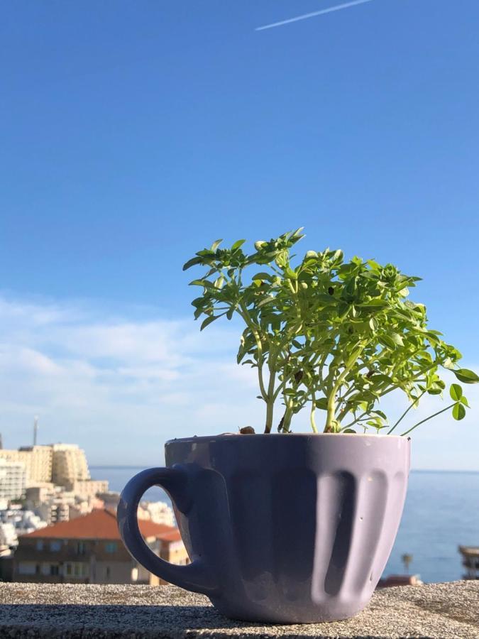 Studio Apartmani Lemon Budva Exteriér fotografie